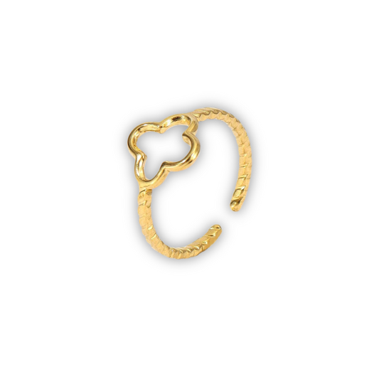 Andorra Ring